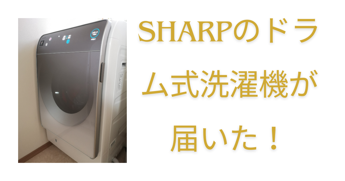 ドラム式洗濯機購入記 - Kimi-blog