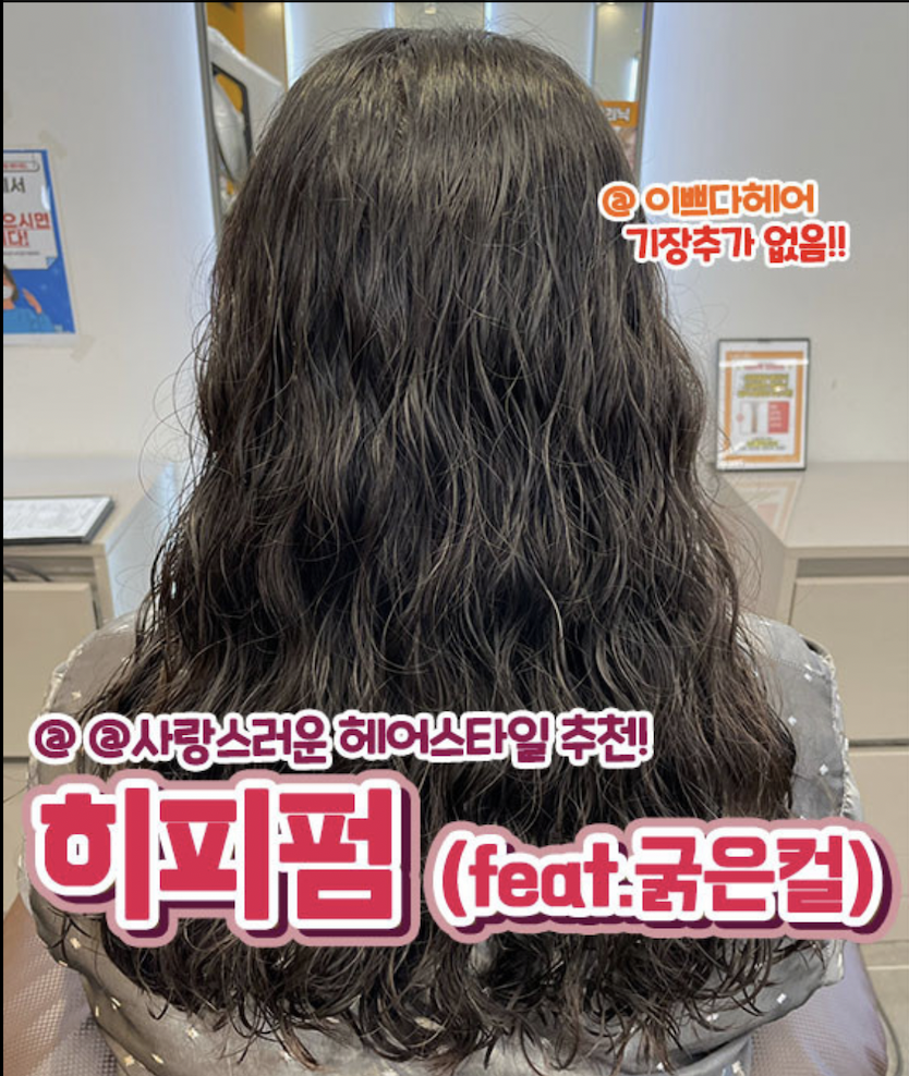 f:id:sai_korea:20211122151340p:plain