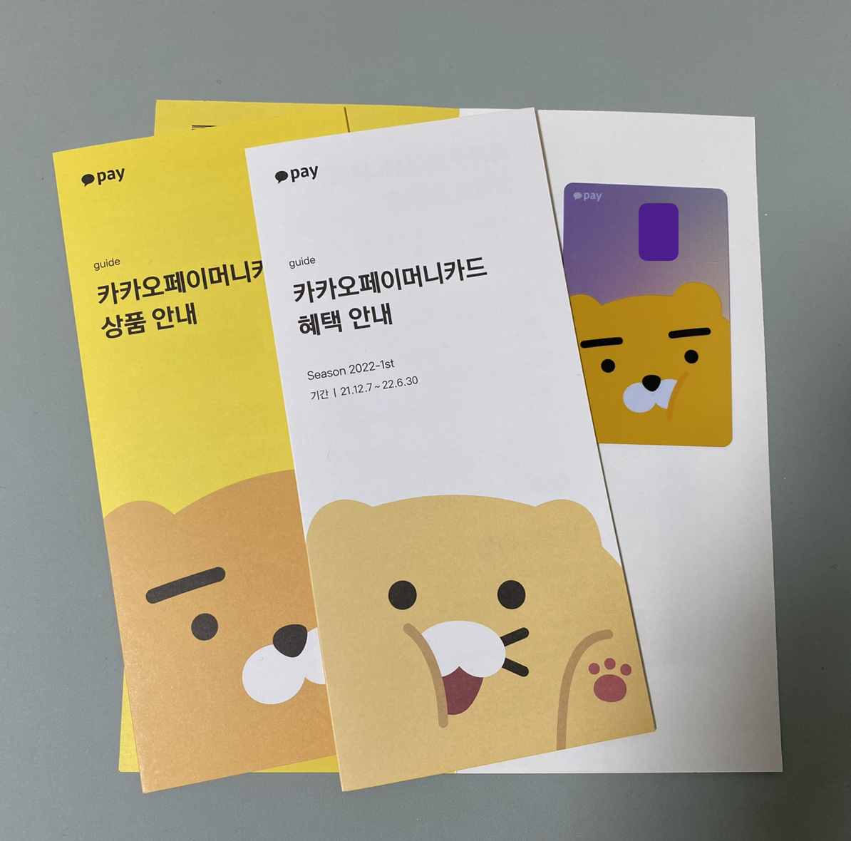 韓国留学生の味方 カカオペイの作り方 韓国で強く生きる 韓国留学生の味方 カカオペイの作り方 韓国で強く生きる