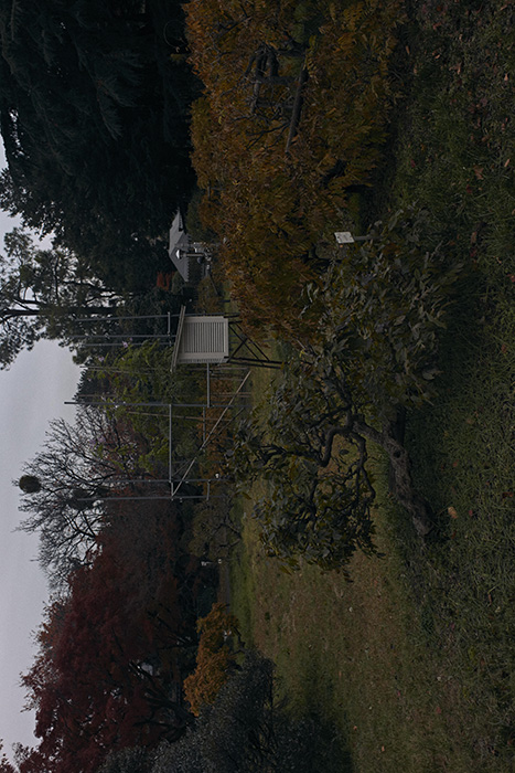 f:id:saidamanabu:20171129021722j:image