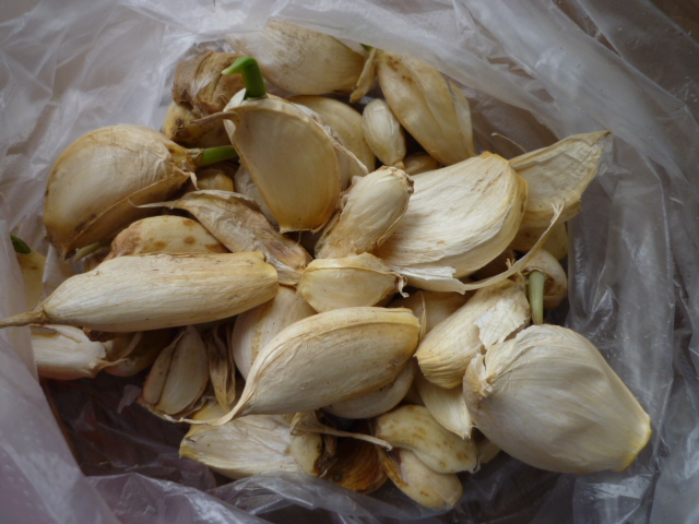 f:id:saientaro:20201214153010j:plain:left:w120