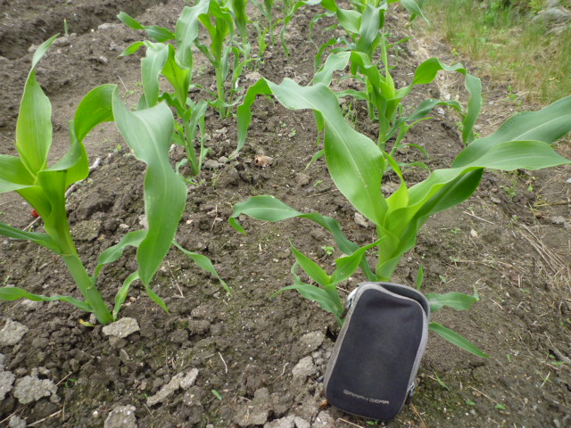 f:id:saientaro:20210515183246j:plain