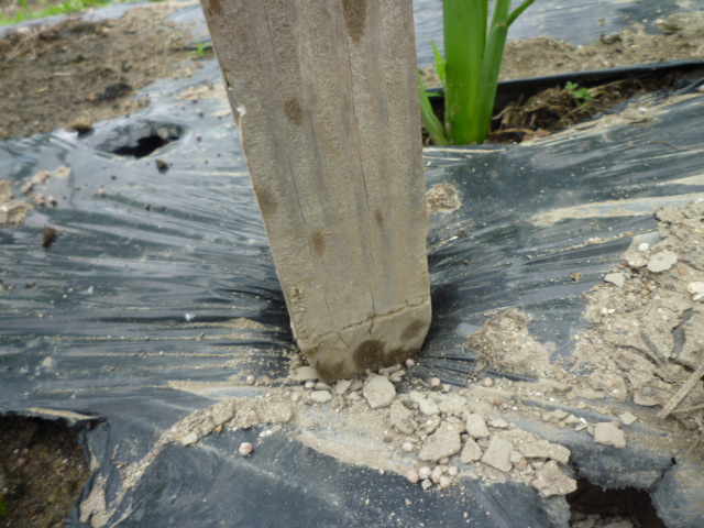 f:id:saientaro:20210519190302j:plain:left:w120