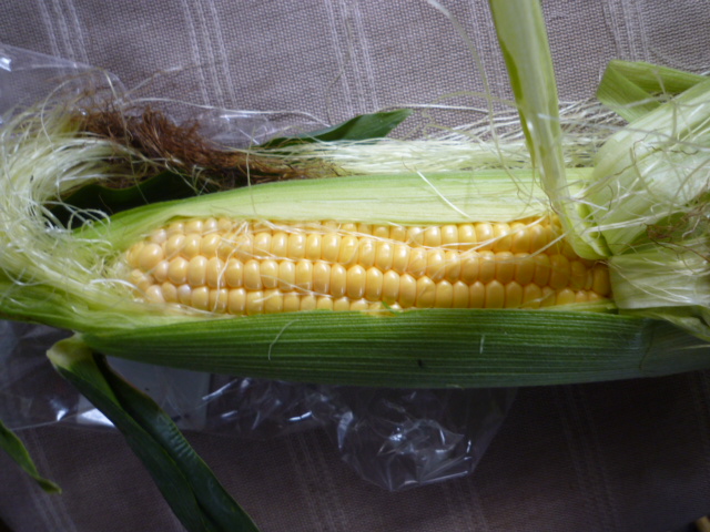 f:id:saientaro:20210627165600j:plain