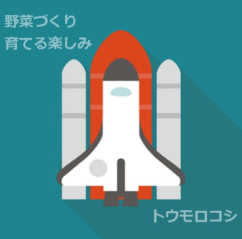 f:id:saientaro:20210701155510j:plain