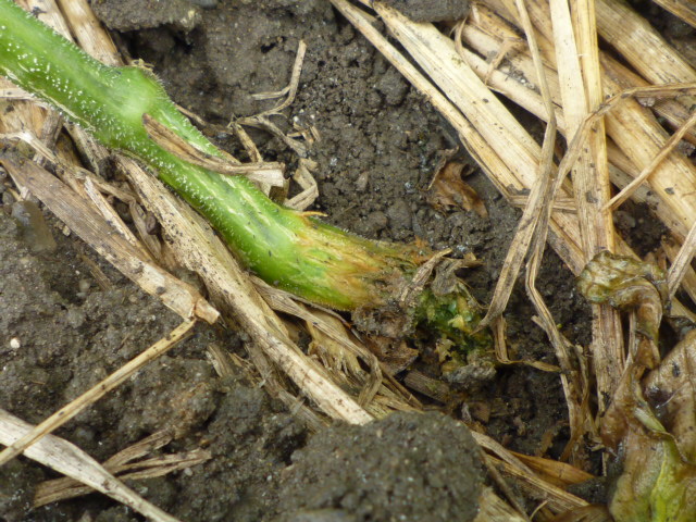 f:id:saientaro:20210708072353j:plain:left:w150