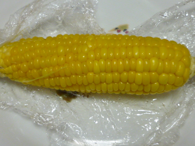 f:id:saientaro:20210708183034j:plain:left:w150