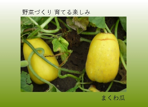 f:id:saientaro:20210722060318j:plain