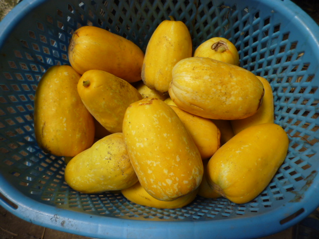 f:id:saientaro:20210722060804j:plain