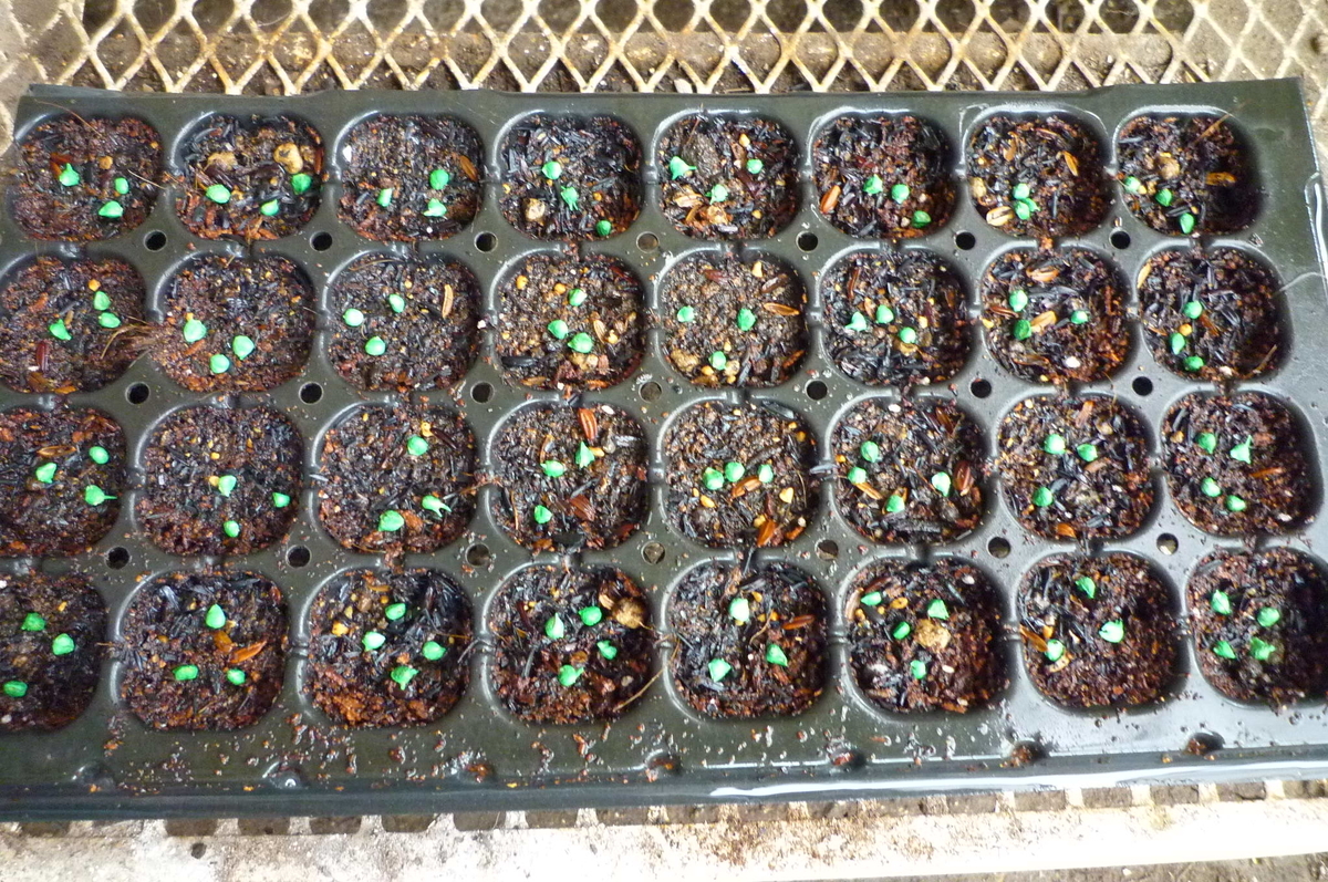 f:id:saientaro:20210819184739j:plain:left:w150