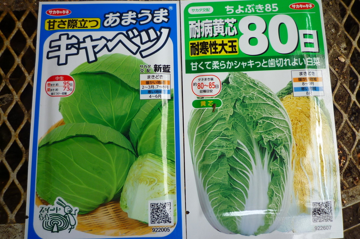 f:id:saientaro:20210820151622j:plain