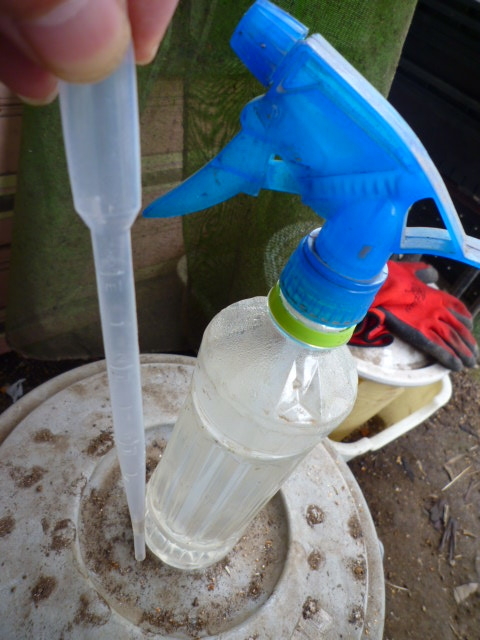 f:id:saientaro:20210826172921j:plain:left:w150