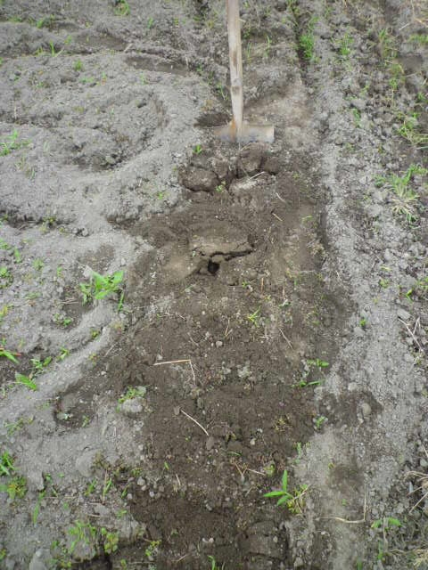 f:id:saientaro:20210912162152j:plain:left:w150