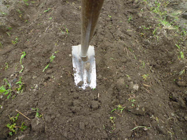 f:id:saientaro:20210912162358j:plain:left:w150