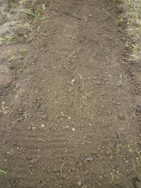 f:id:saientaro:20210912162501j:plain:left:w150