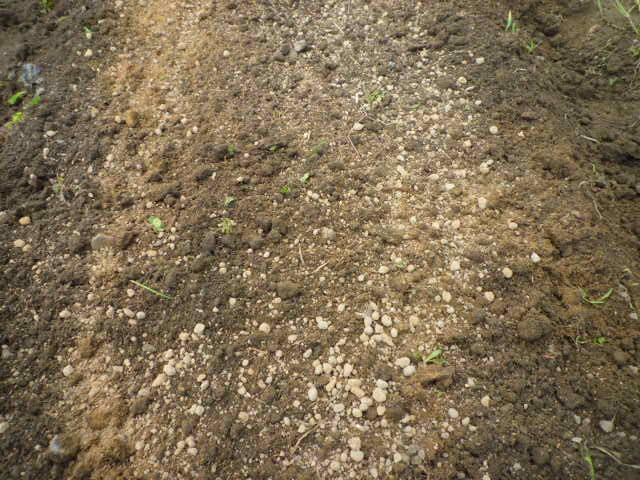 f:id:saientaro:20210912162552j:plain:left:w150