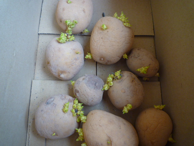 f:id:saientaro:20210912172315j:plain:left:w150