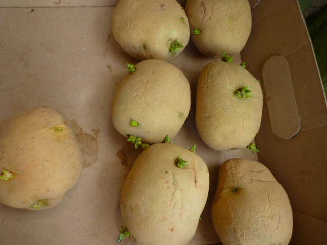 f:id:saientaro:20210912172320j:plain:left:w150