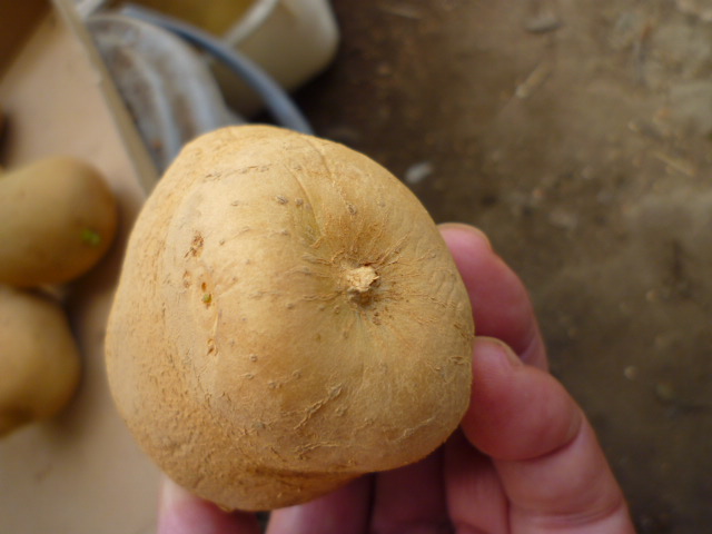 f:id:saientaro:20210912172601j:plain:left:w150