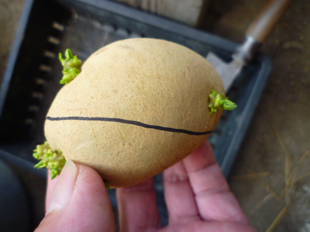 f:id:saientaro:20210912172606j:plain:left:w150