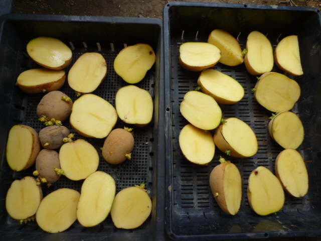 f:id:saientaro:20210912172847j:plain:left:w150