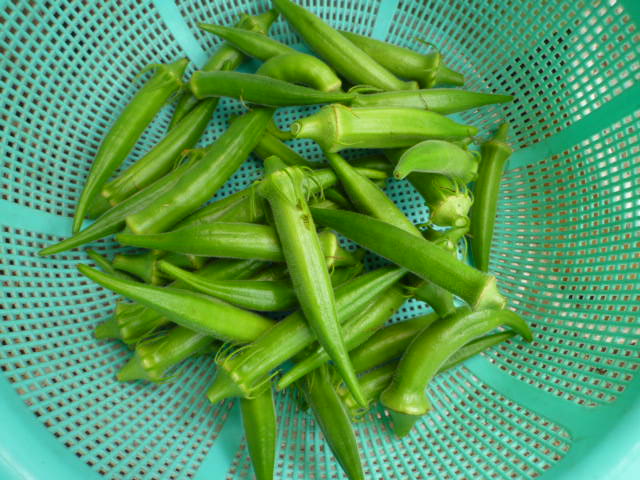 f:id:saientaro:20210917080111j:plain:left:w150