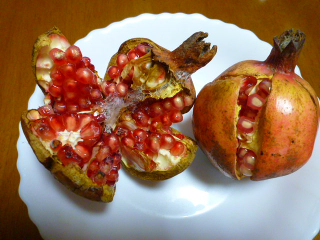 f:id:saientaro:20211030180055j:plain:left:w150