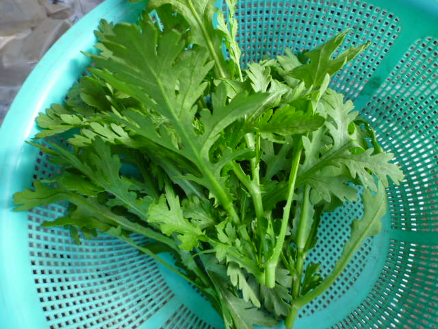 f:id:saientaro:20211104084616j:plain:left:w150