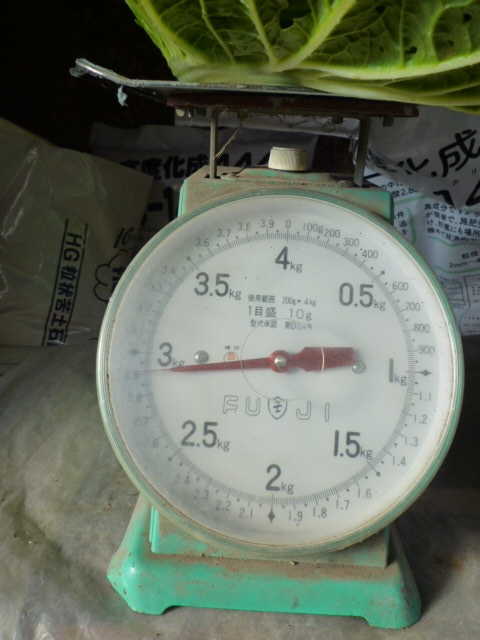 f:id:saientaro:20211104085140j:plain:left:w150