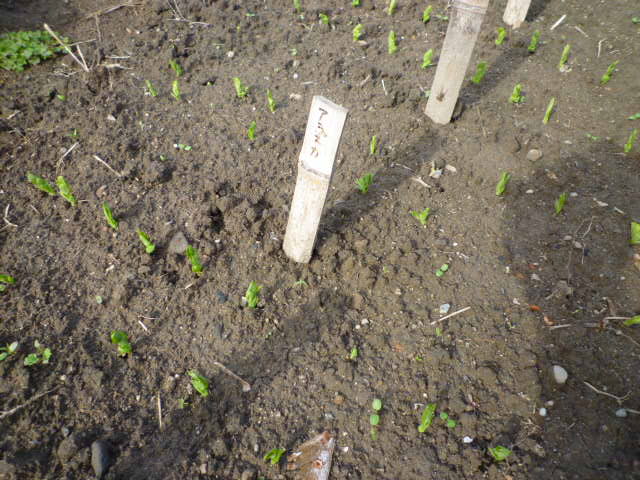 f:id:saientaro:20211108070514j:plain:left:w150