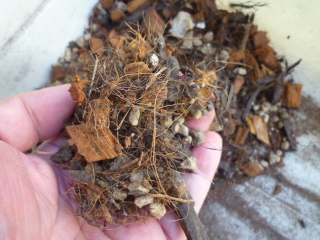 f:id:saientaro:20211108070833j:plain:left:w150