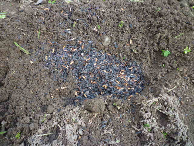 f:id:saientaro:20211113193931j:plain:left:w150