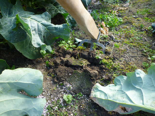 f:id:saientaro:20220107190827j:plain:left:w150