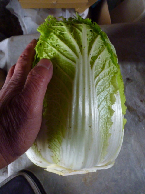 f:id:saientaro:20220116092453j:plain:left:w150