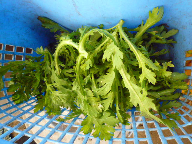 f:id:saientaro:20220116092639j:plain:left:w150