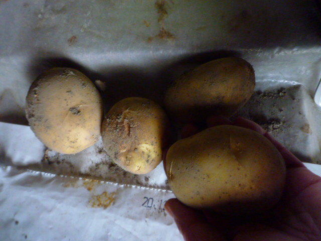 f:id:saientaro:20220116092829j:plain:left:w150