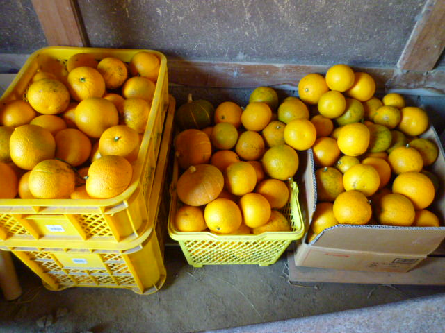 f:id:saientaro:20220116093054j:plain:left:w150