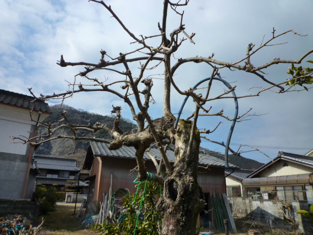 f:id:saientaro:20220225182035j:plain:left:w150