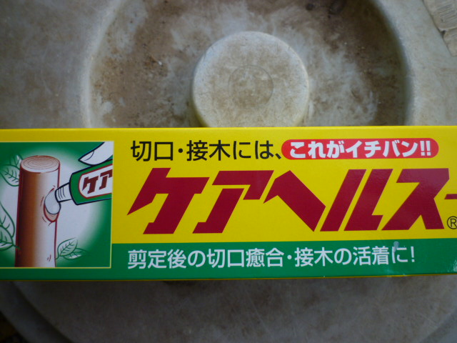 f:id:saientaro:20220225182543j:plain:left:w150