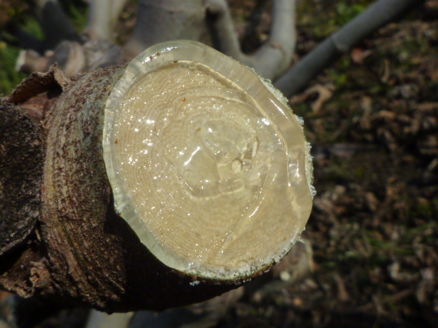 f:id:saientaro:20220225182917j:plain:left:w150