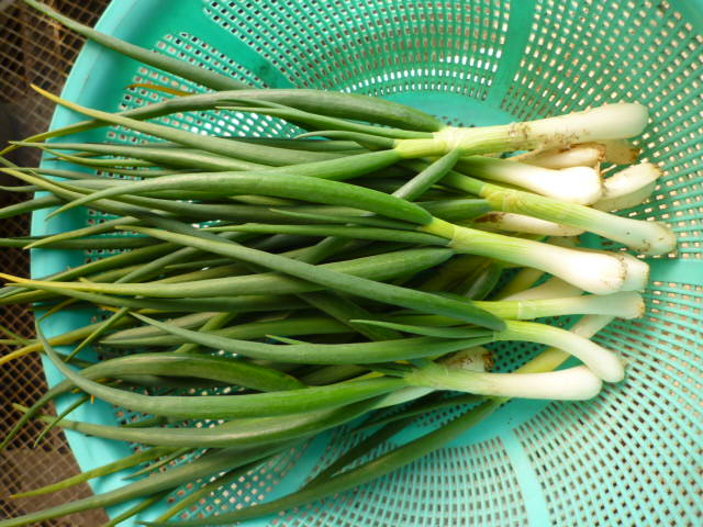 f:id:saientaro:20220311185057j:plain:left:w150