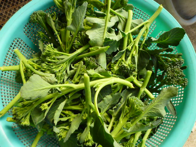 f:id:saientaro:20220311185508j:plain:left:w150