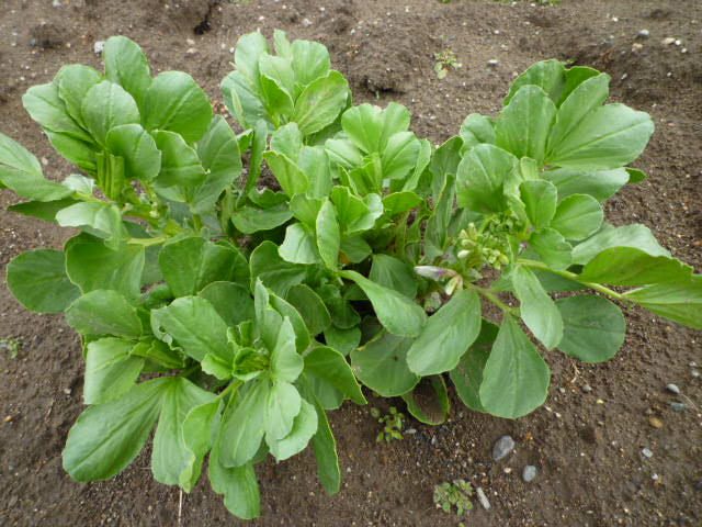 f:id:saientaro:20220315193220j:plain:left:w150