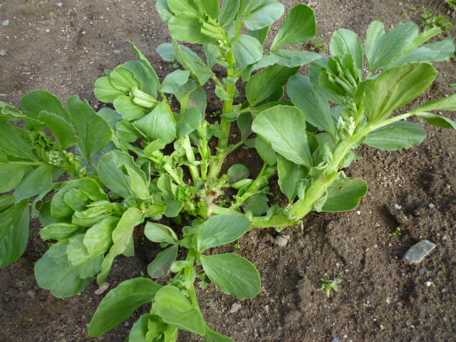 f:id:saientaro:20220315193520j:plain:left:w150