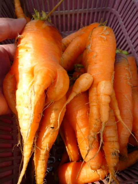 f:id:saientaro:20220326092043j:plain:left:w150