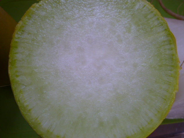 f:id:saientaro:20220326093620j:plain:left:w150