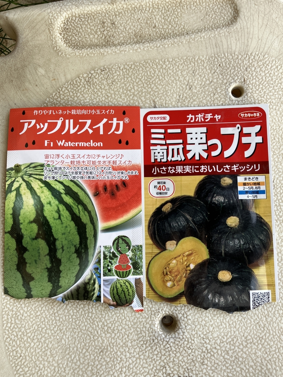 カボチャとスイカ：定植と畝たて - 退職後の菜園入門 家庭菜園の