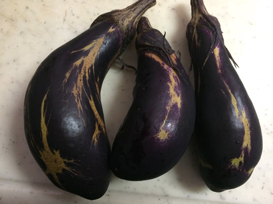 f: id: saienyosiko: 20190804095539j: plain f:id:saienyosiko:20190804095539j:plain