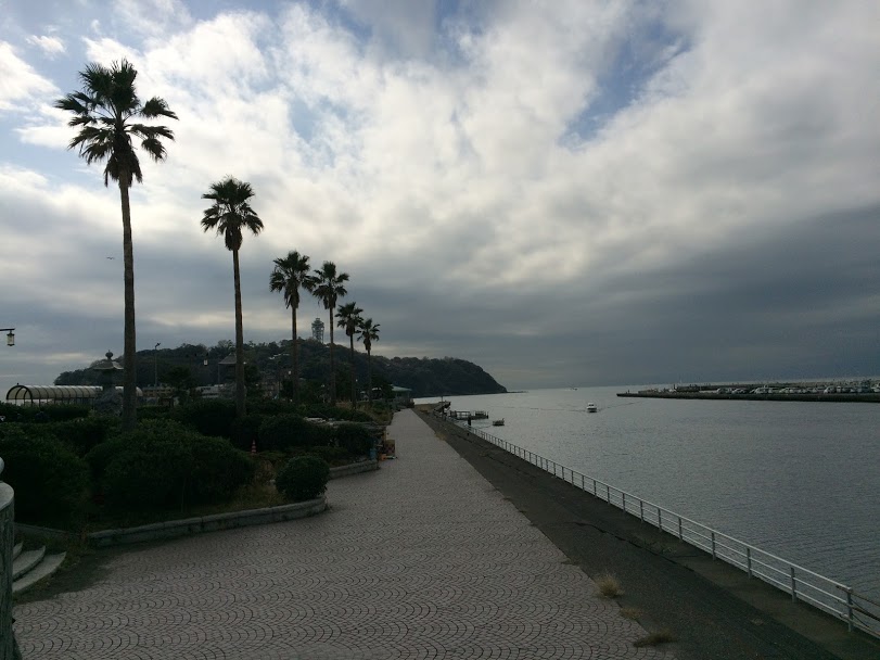 チンゲンサイ栽培 ミニチンゲンサイ プランター栽培 冬は発芽気温に注意して 種蒔き 発芽 即席ミニビニールハウス作成 収穫 Saienyosikoのブログ