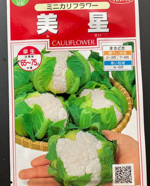 f:id:saienyosiko:20200820133939j:plain f:id:saienyosiko:20200820133939j:plain